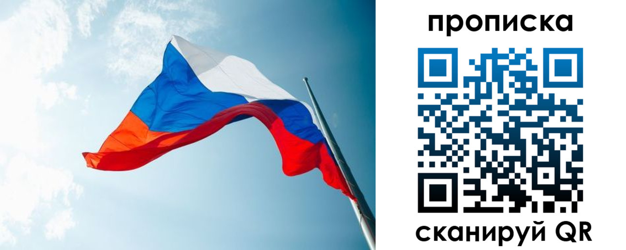 найти адрес прописки в Вельске